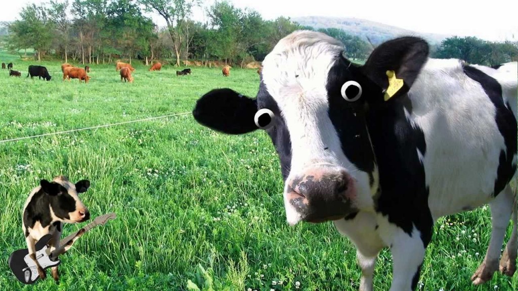 cowbigeyes